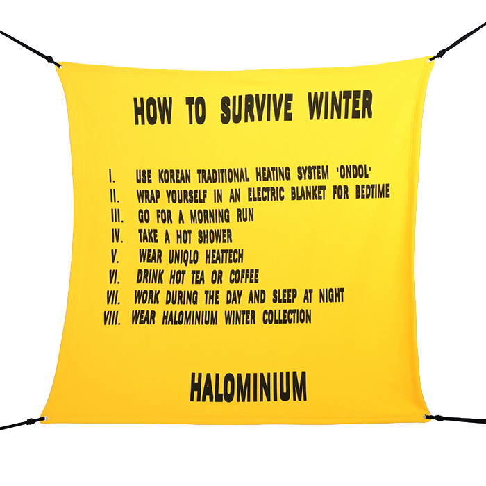 HOW TO SURVIVE WINTER (2016)